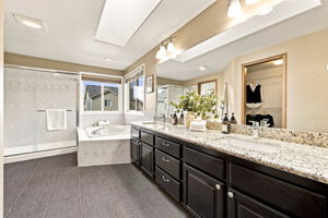 Primary Bathroom 1