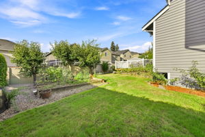 Garden 2