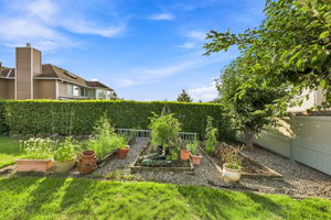 Garden 1