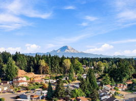 Olympic mountain view