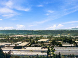 Olympic mountain view 2