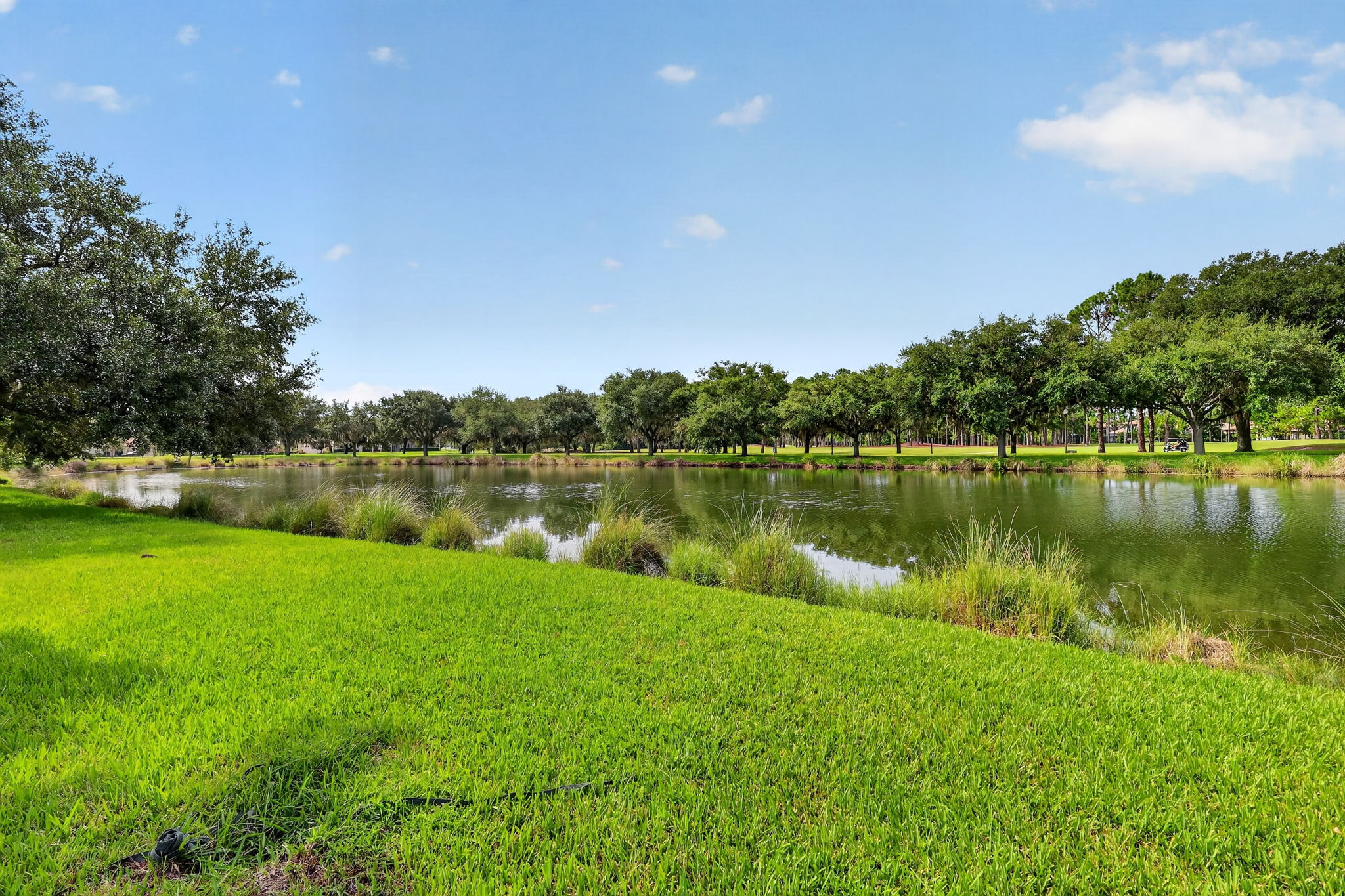 Back Yard w/ Water & Golf Course Views