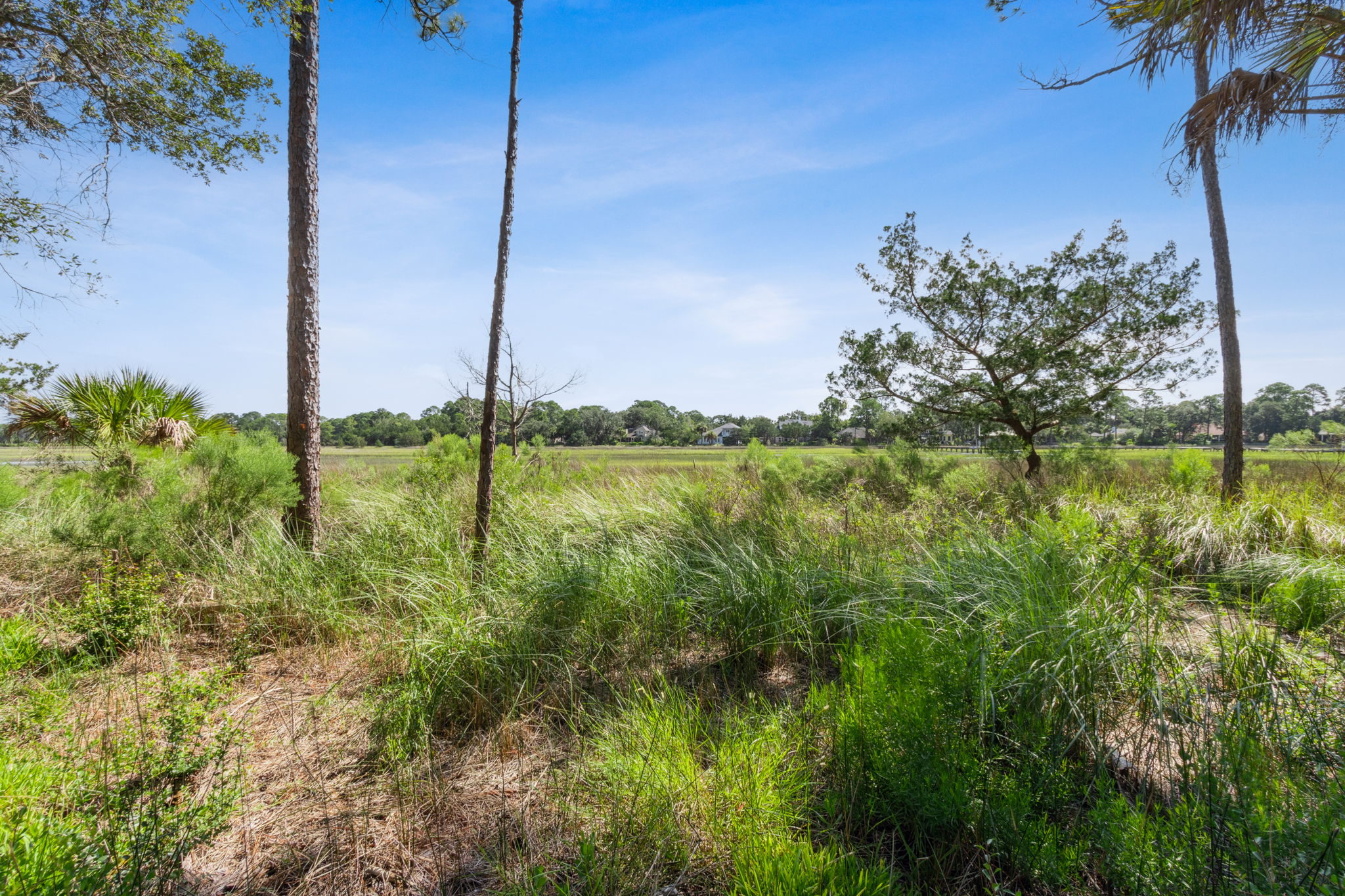 Marsh View