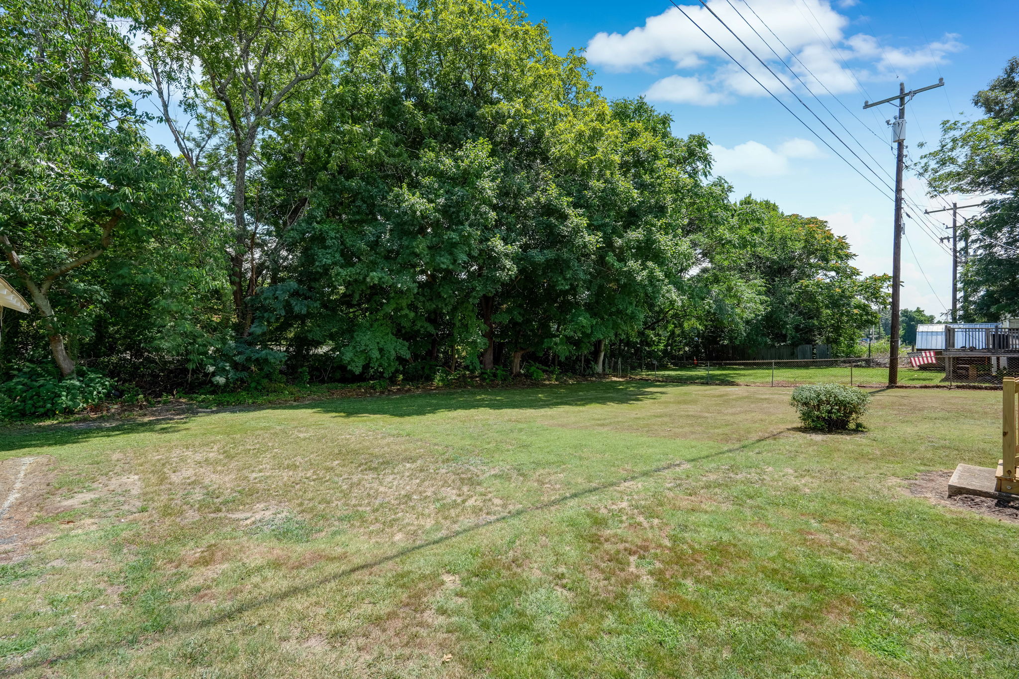 Back Yard