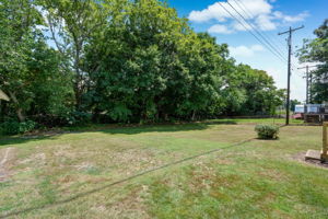 Back Yard