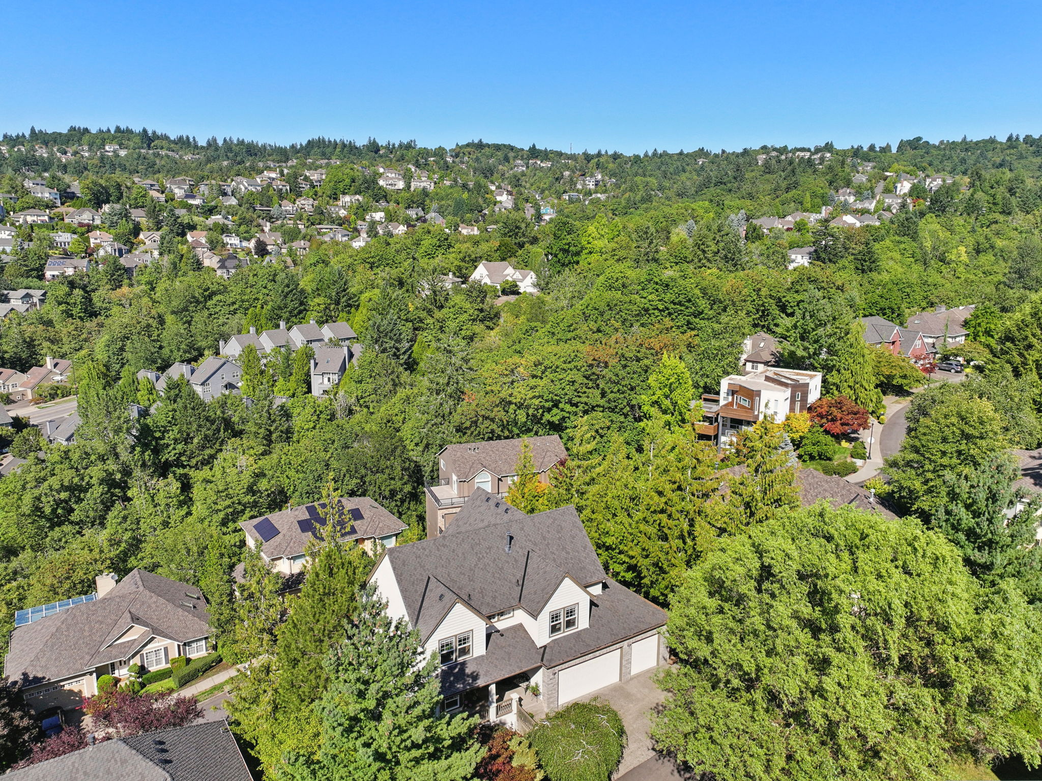 NW Fleischner St-d-003
