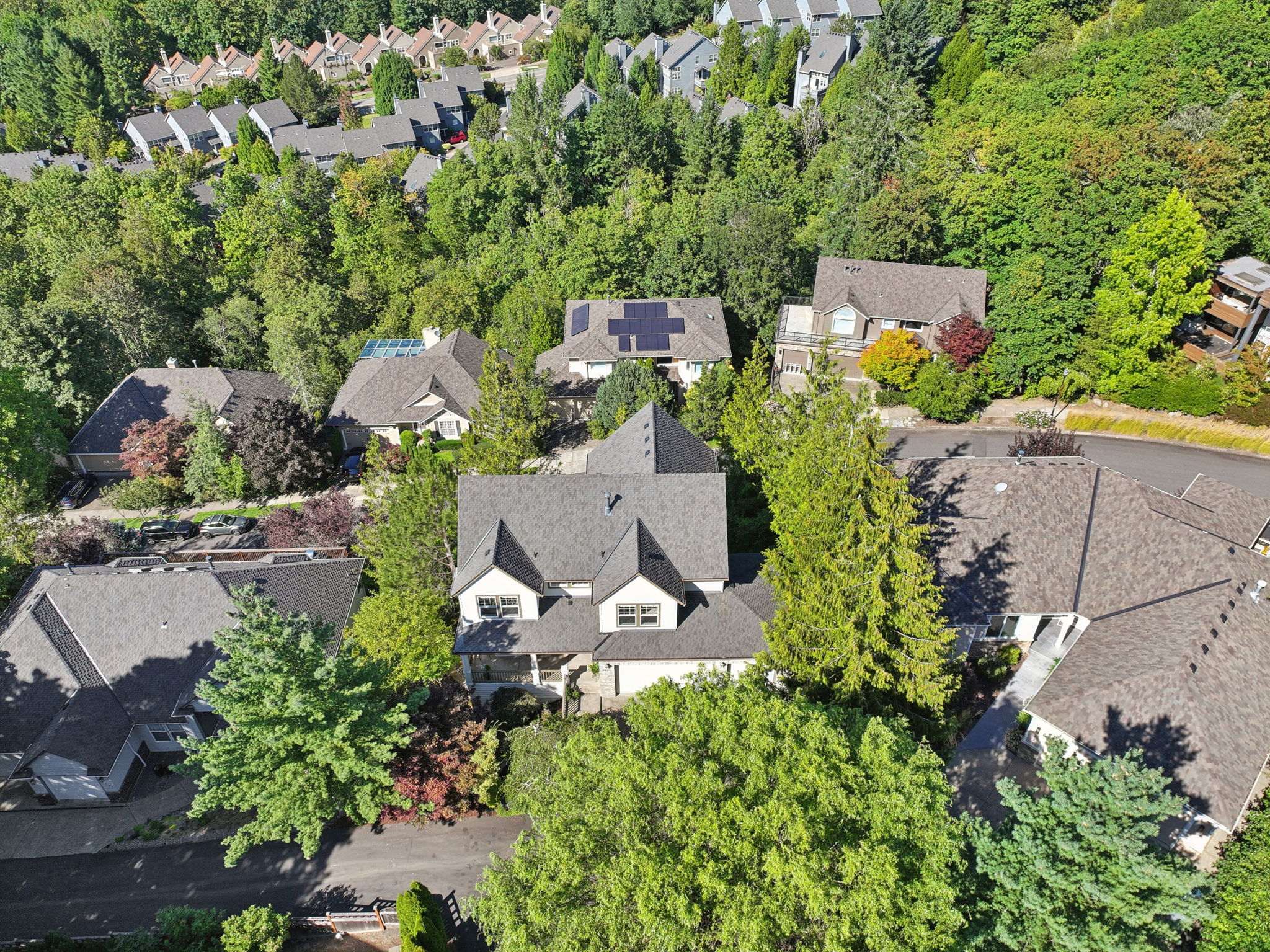 NW Fleischner St-d-009