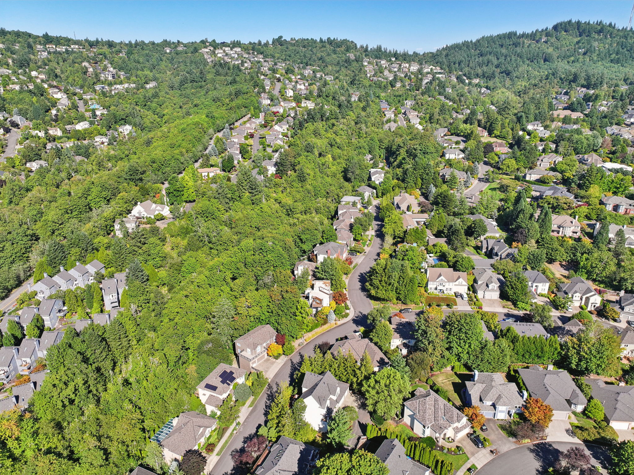 NW Fleischner St-d-026