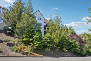 NW Fleischner St-S1308-070.jpg