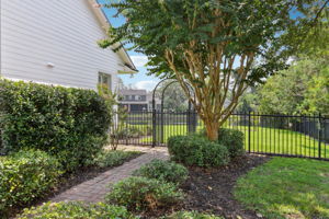 Side Yard