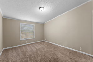  Photo 35