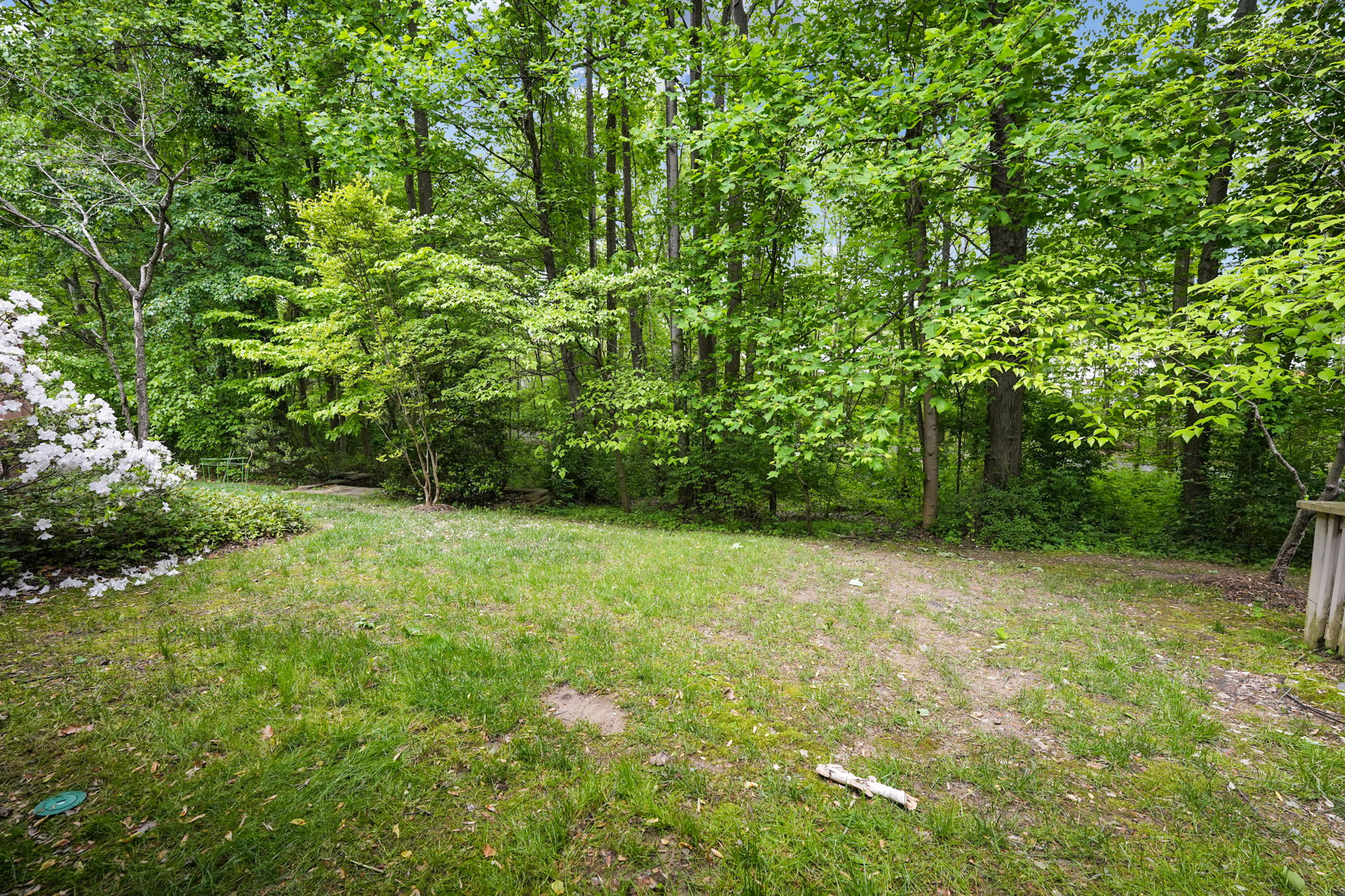  Photo 45
