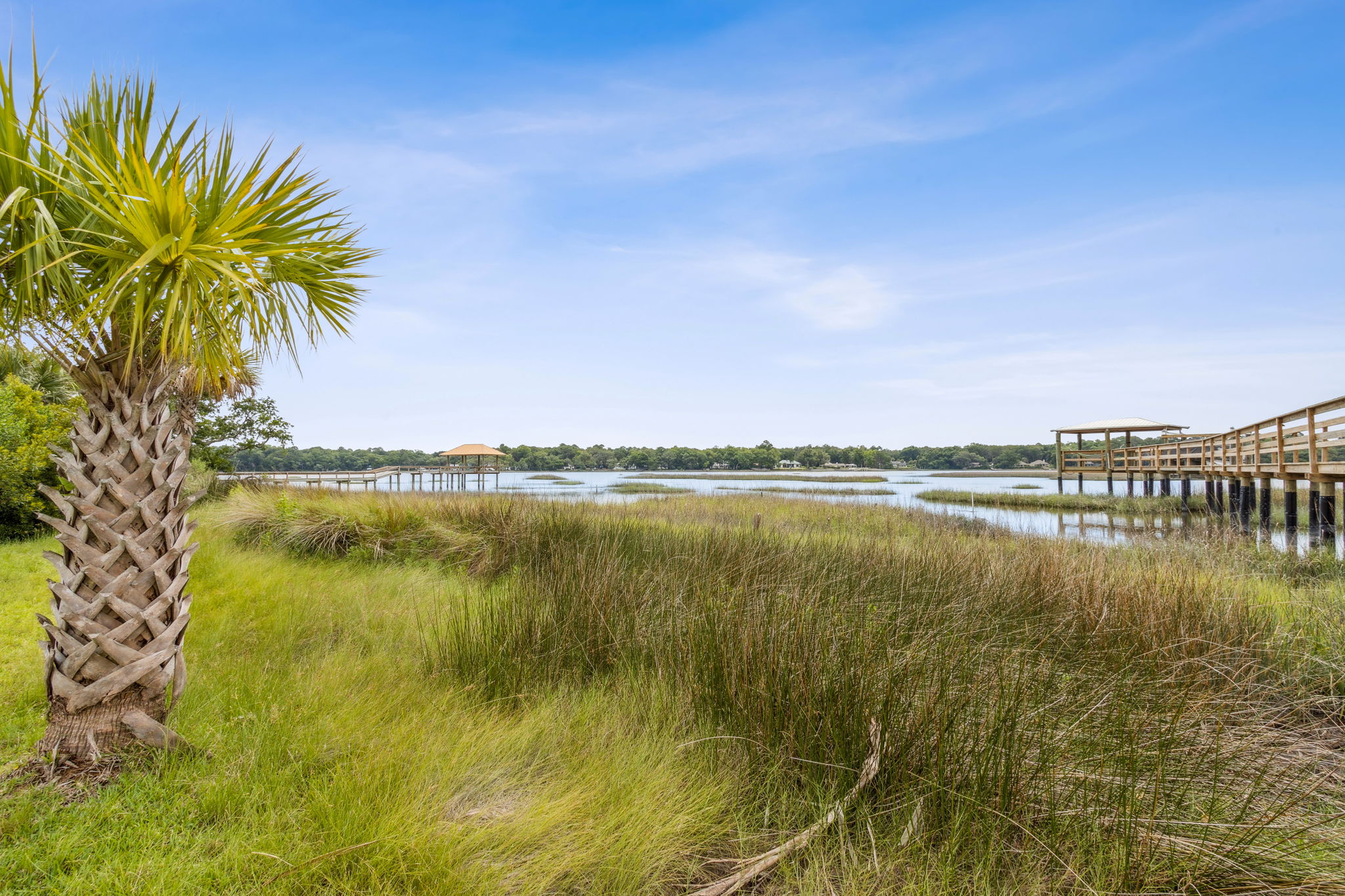 Marsh View