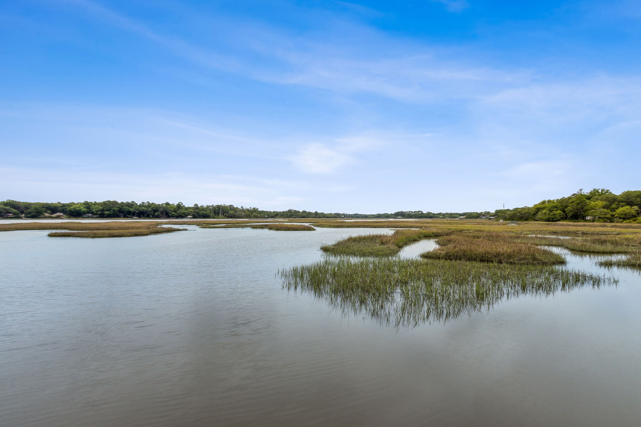 Marsh View