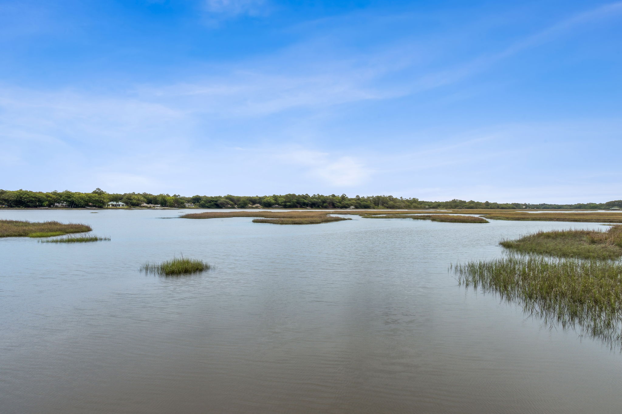 Marsh View