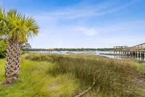 Marsh View
