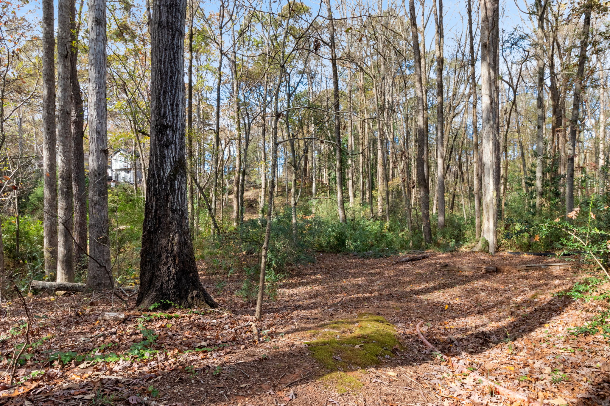 963 Cooper Way, Lawrenceville, GA 30046, USA Photo 25
