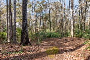 963 Cooper Way, Lawrenceville, GA 30046, USA Photo 24