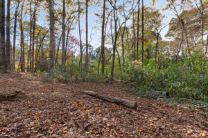 963 Cooper Way, Lawrenceville, GA 30046, USA Photo 26