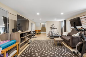 Recreation room, basement level