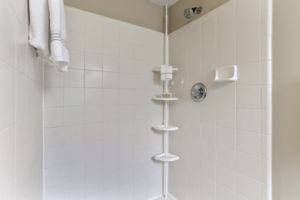 Master shower