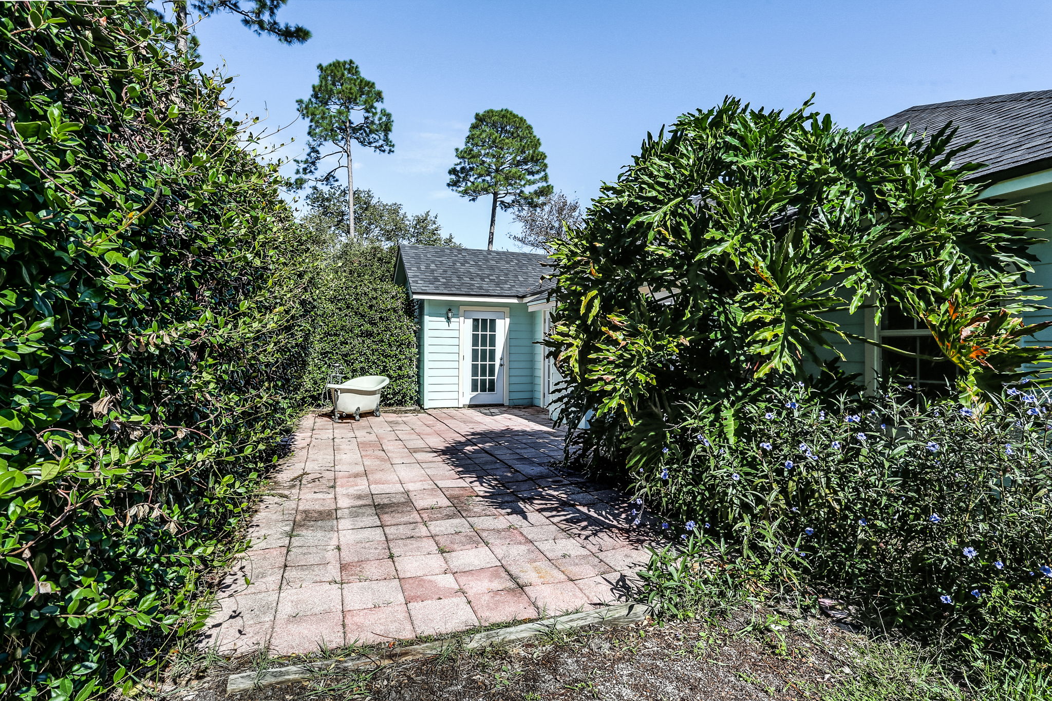 Backyard
