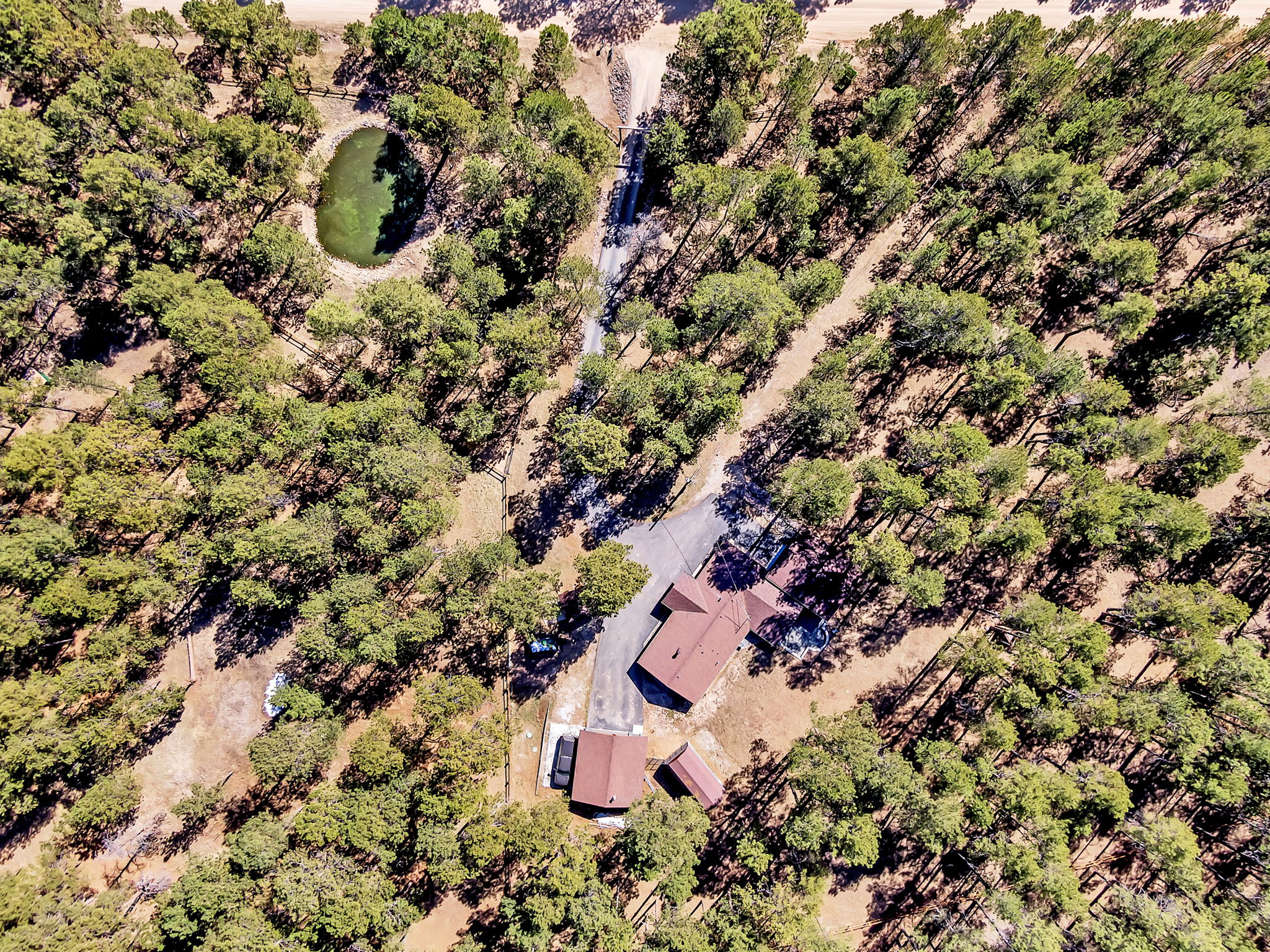 DJI_0677