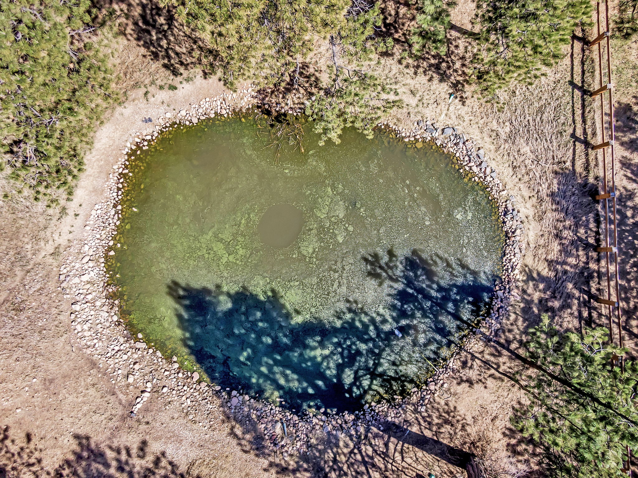 DJI_0738