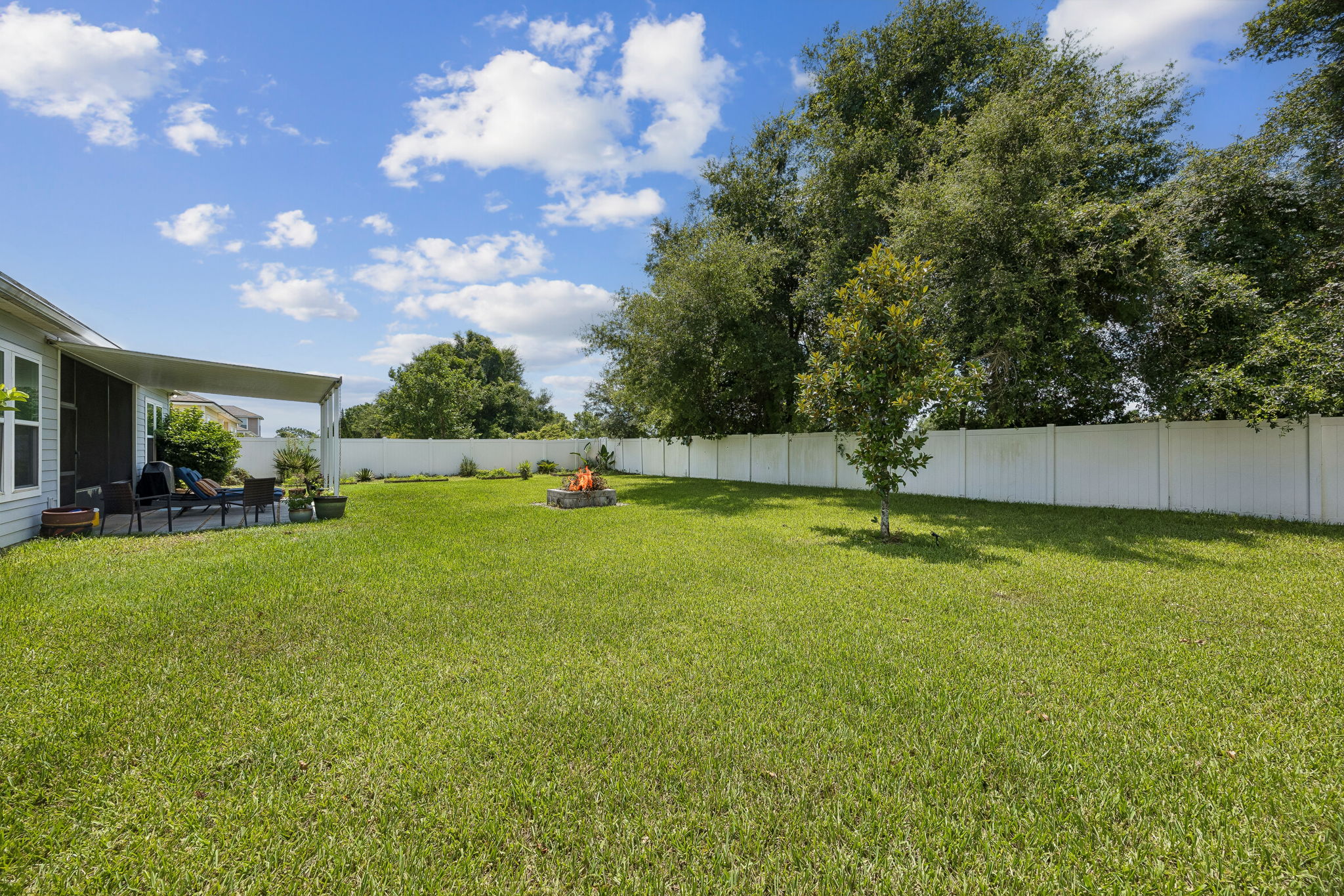 Backyard