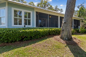 Back of Home