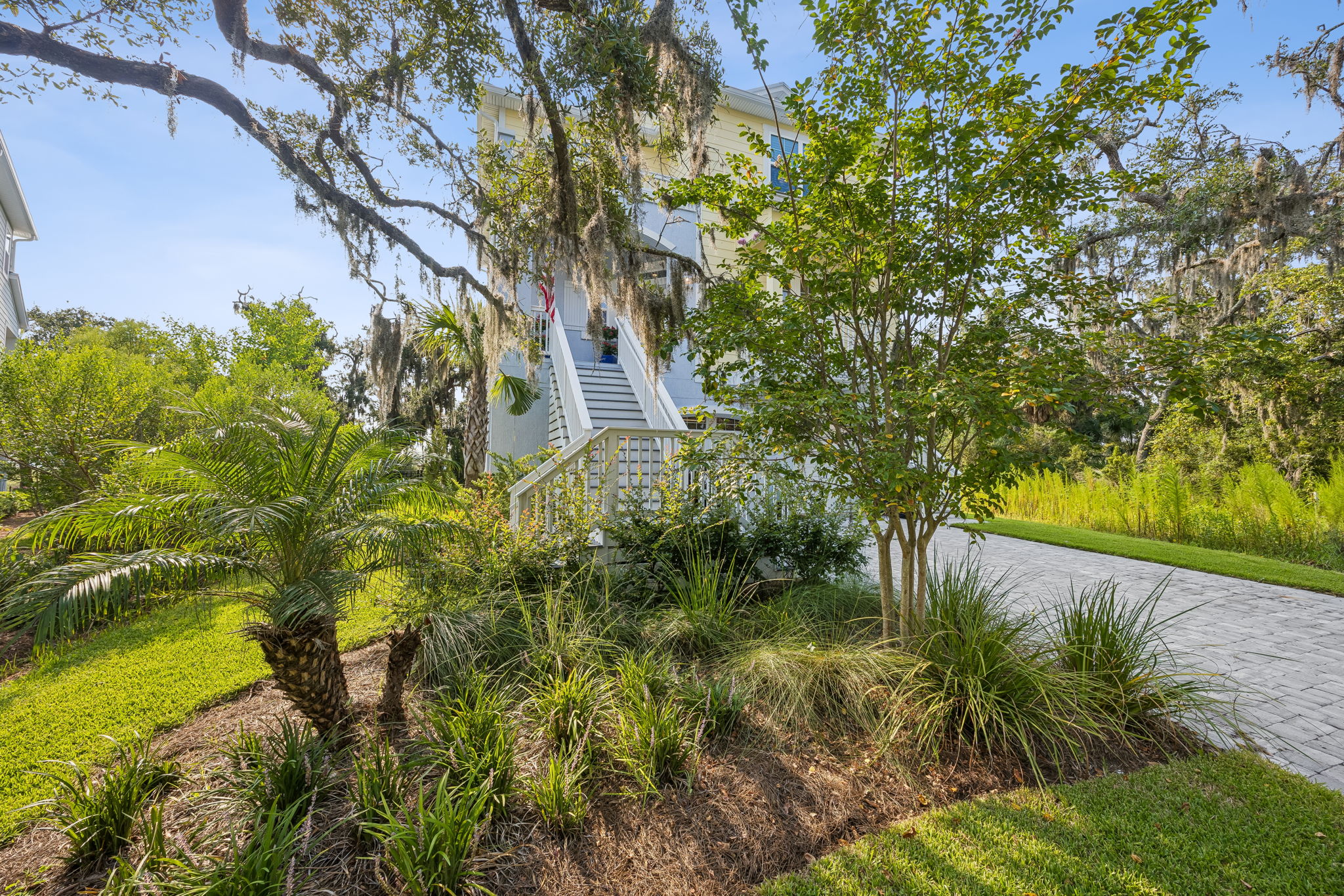 Front Yard