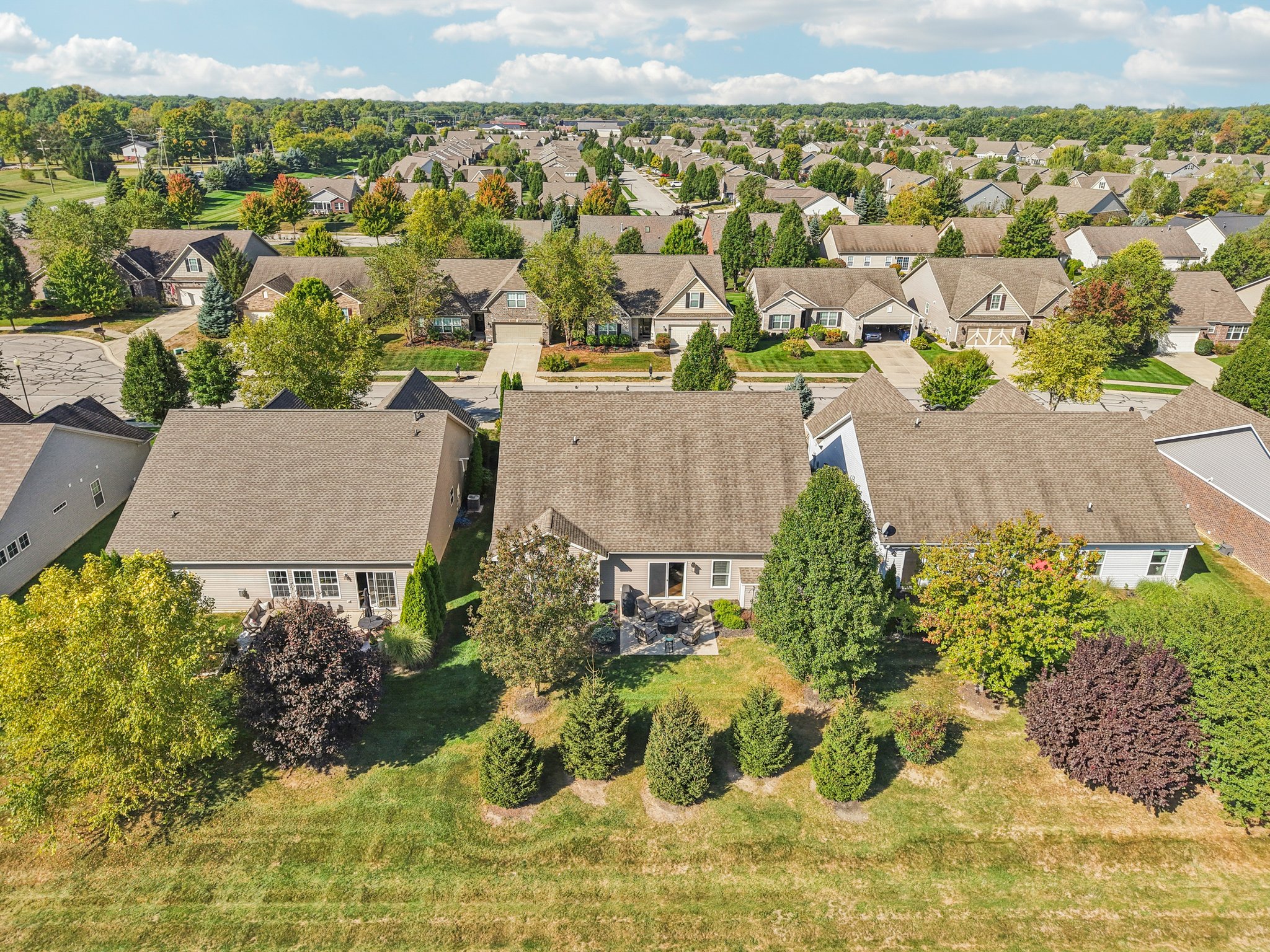 Timber Cir-S3009-008.jpg