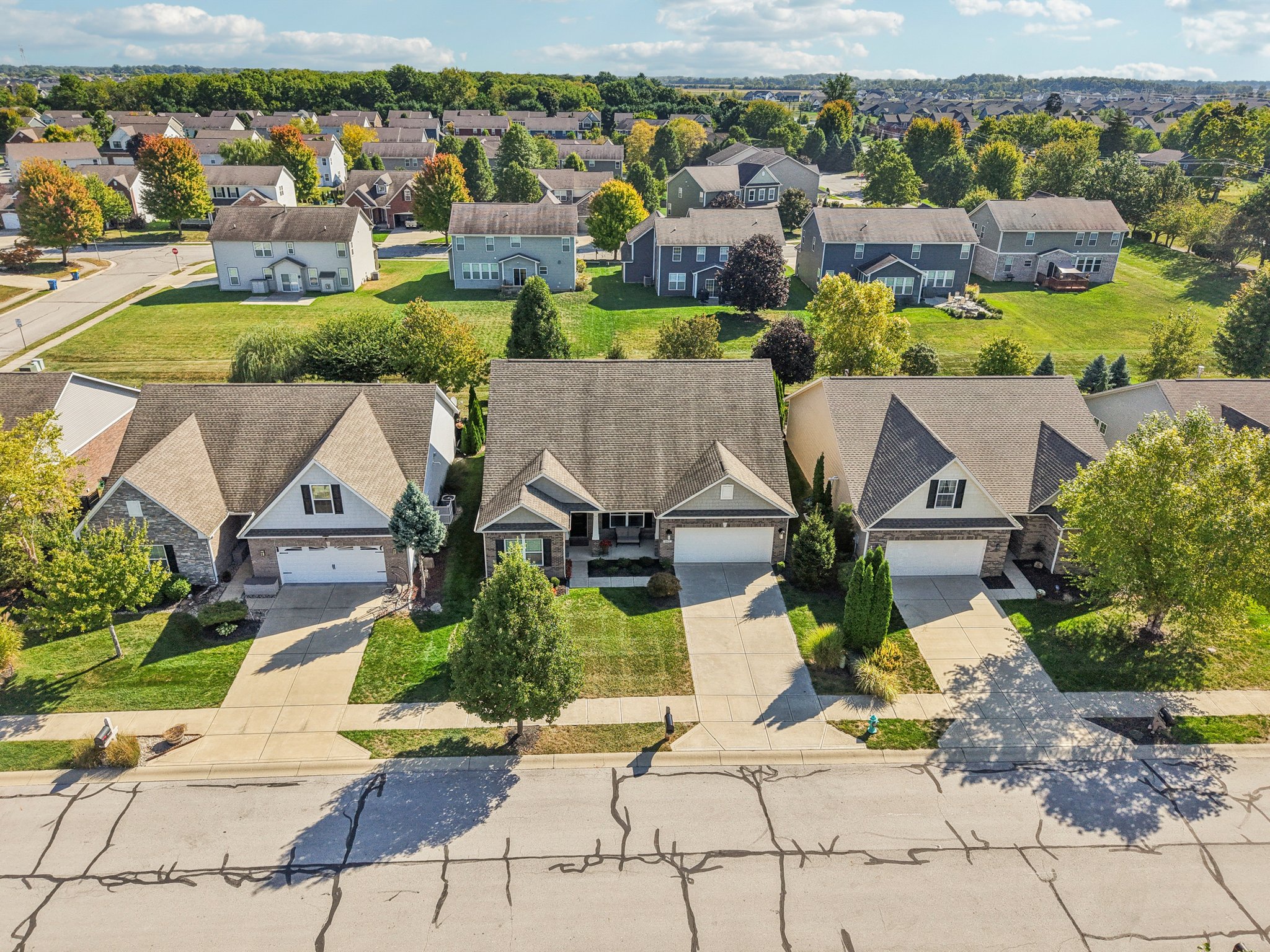 Timber Cir-S3009-020.jpg