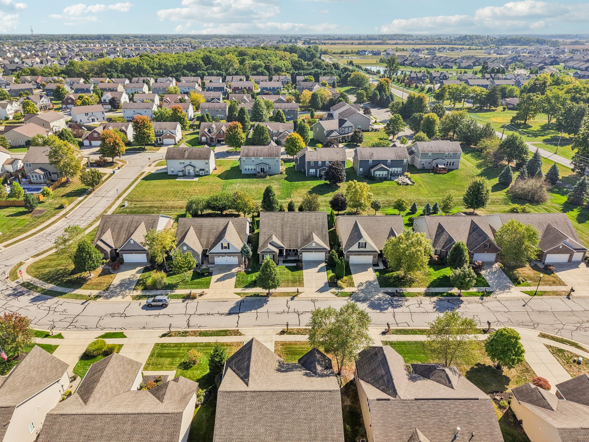 Timber Cir-S3009-021.jpg