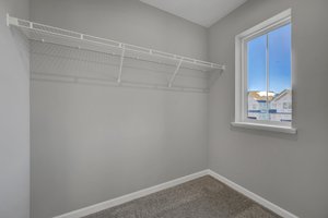 9658 65th St S, Cottage Grove, MN 55016, USA Photo 25