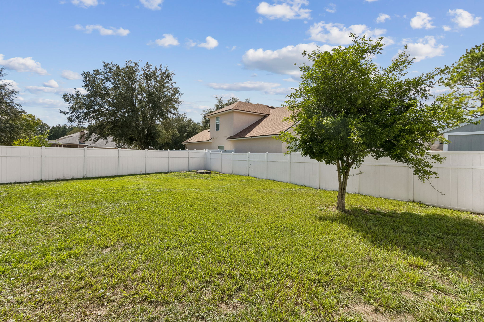 Back Yard