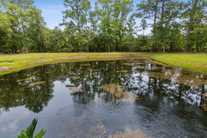 Stocked Pond