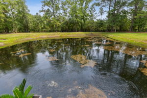 Stocked Pond