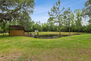 Pond