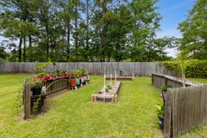 Raised Garden