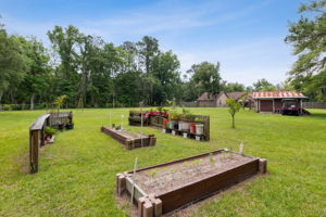 Raised Garden