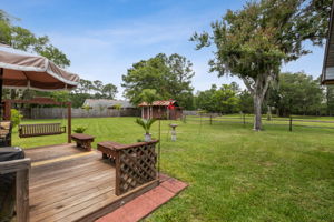 Backyard