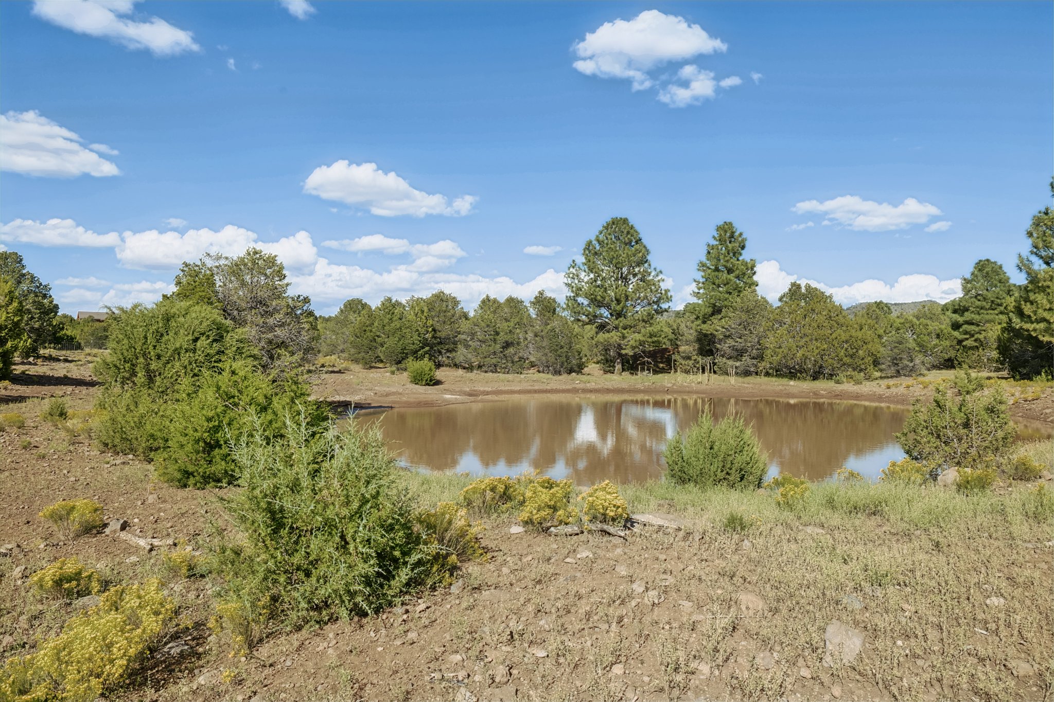9665 N Stagecoach Dr, Williams - 077.jpg