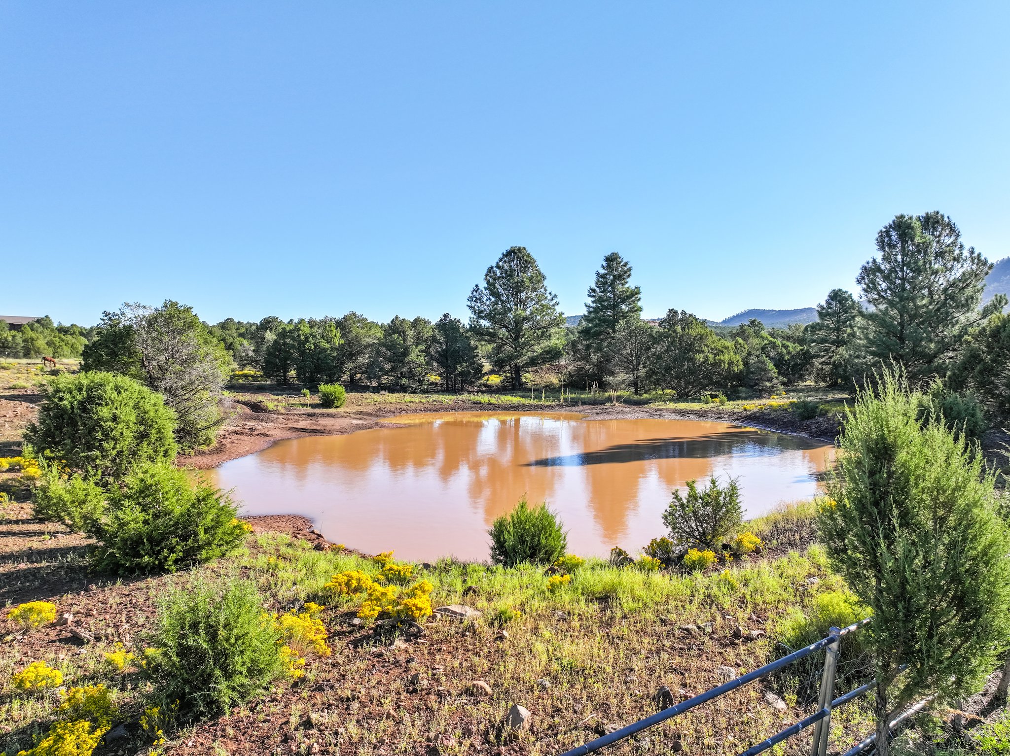 9665 N Stagecoach Dr, Williams - 095.jpg