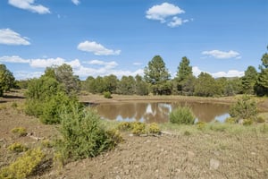 9665 N Stagecoach Dr, Williams - 077.jpg