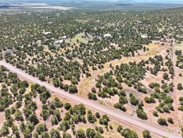 9665 N Stagecoach Dr, Williams - 086.jpg