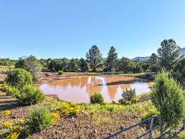 9665 N Stagecoach Dr, Williams - 095.jpg
