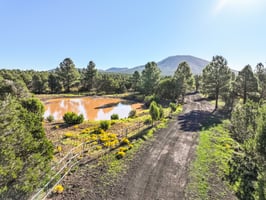 9665 N Stagecoach Dr, Williams - 098.jpg
