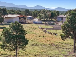 9665 N Stagecoach Dr, Williams - 104.jpg