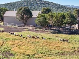 9665 N Stagecoach Dr, Williams - 105.jpg